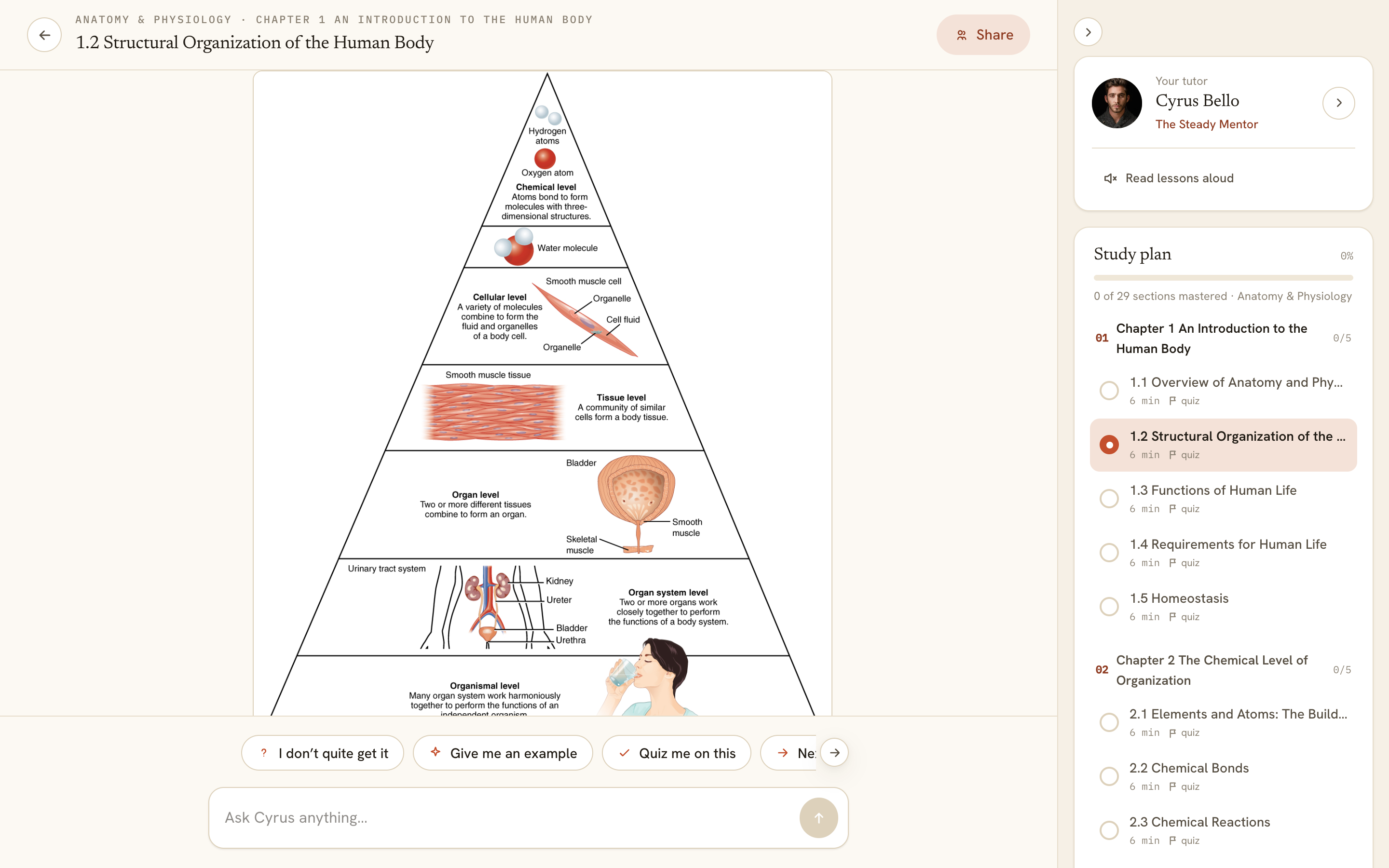 Screenshot showing a lesson turn with a diagram